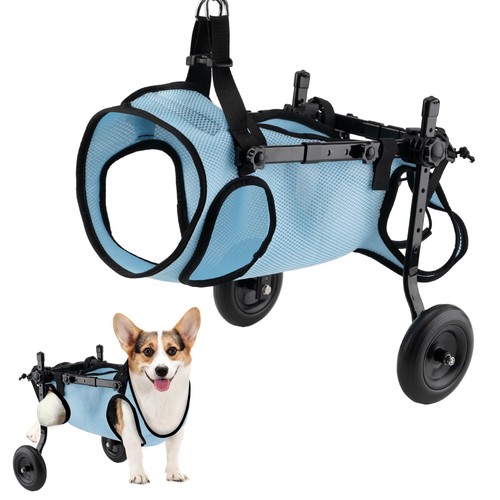 Dog wheelchair for back legs - wheelchair,