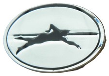 Swimmer Pin Badge Swim
