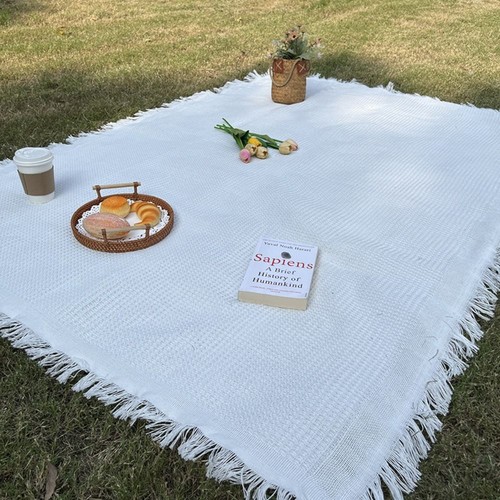 Large camping picnic - large,