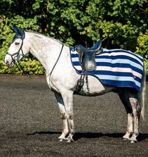 Horseware Newmarket Exercise