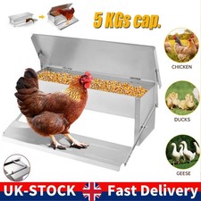 5KG Automatic Chicken Chook
