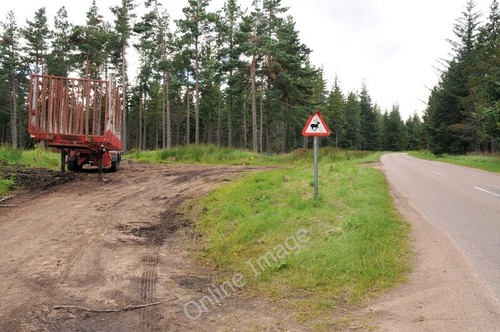 Photo 6x4 empty timber - empty, trailer