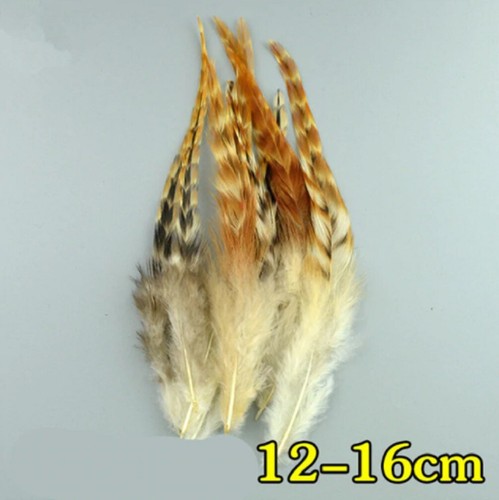 Natural rooster wing - wing, feathers