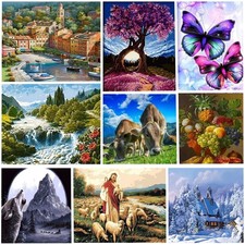 DIY Acrylic Paint by Numbers 40x50cm Canvas Kit 300+ Designs for Adults