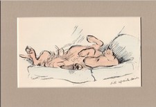 Lucy Dawson ~ Irish Setter ~