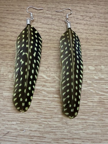 Guinea fowl spotted - spotted, feather