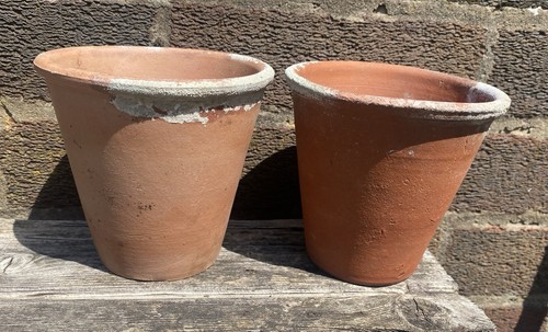 Vintage terracotta plant - 2,