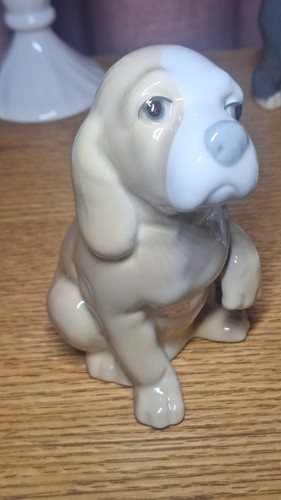 Dog seated spaniel - dog,
