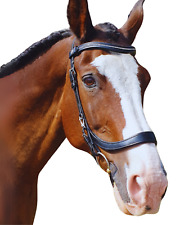 Equine Balance Anatomical Cavesson Bridle