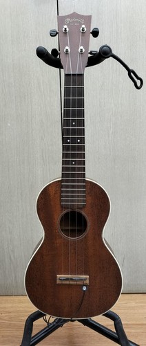 Martin style concert - martin,