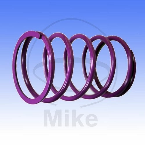Purple variator spring - purple, 35kg