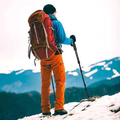 Nordic walking telescopic - walking,