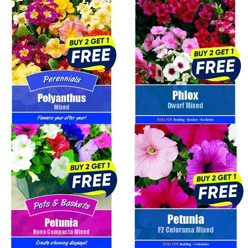 Flower seeds plants - plants, borders