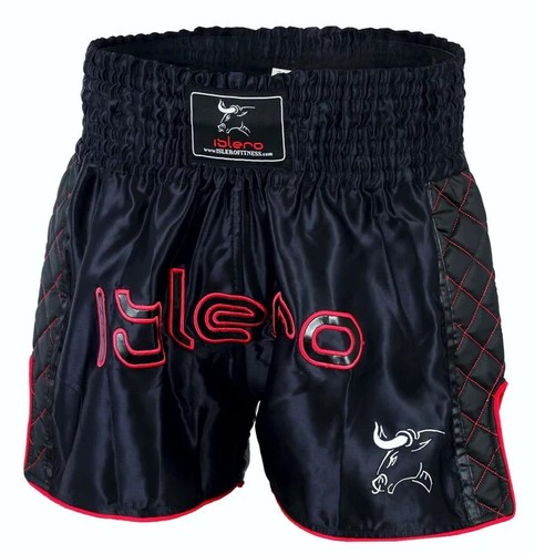 Evo muay thai fight - evo,
