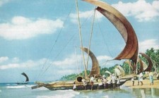 FISHING - CATAMARAN - BOATS -