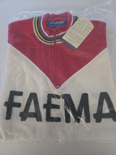 Merino italian wool faema - merino,
