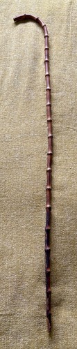 Early 1800s whangee - whangee, cane