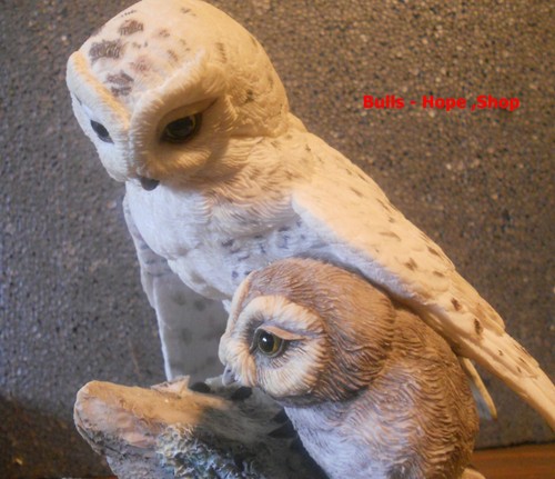 Snowy owl with boys - ,,