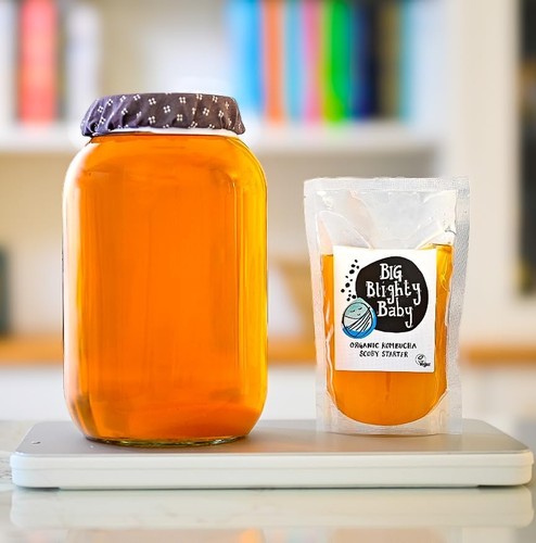 Organic big blighty booch - organic,