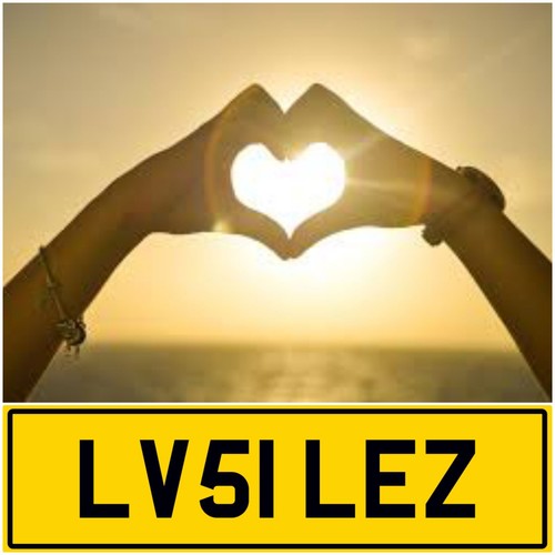Loves lez love les lesley - love,
