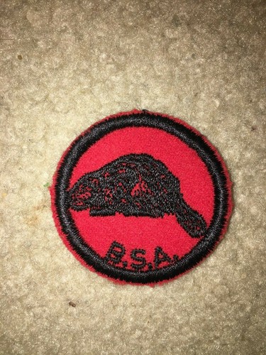 Boy scout bsa beaver - boy,