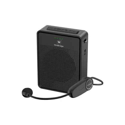Winbridge wireless voice - winbridge,