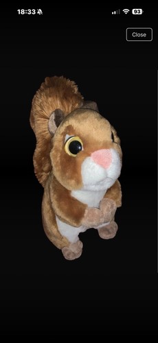 Paws bnwt woodland - woodland, forrest