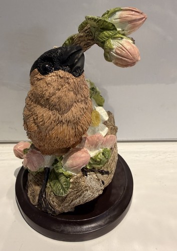 Collectible bullfinch bird - collectible,
