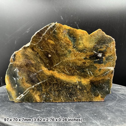 Opalised petrified fossil