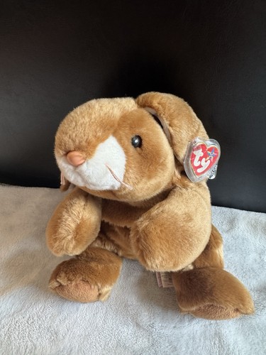 Ears beanie baby buddy - ty,