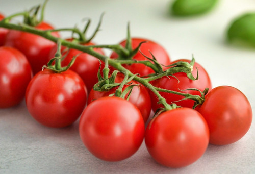 Piccolo tomato seeds - 15,