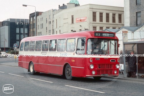 Bus photo central - bus,