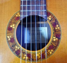 Takamine Tgl2 Classical Guitar With Hard Case