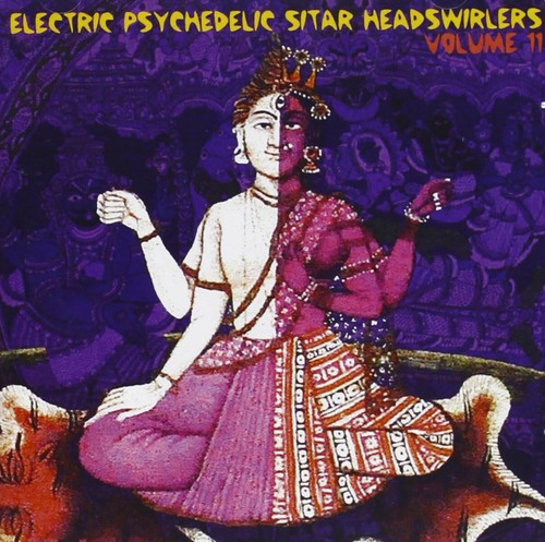 Electric psychedelic sitar - electric,