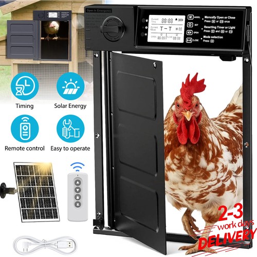 Intelligent chicken coop door - chicken,