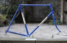 Gios Professional Frame / 60.5