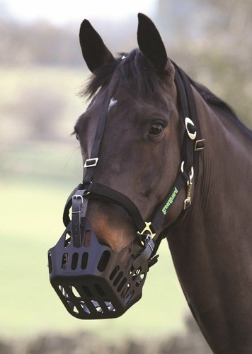 Shires greenguard grazing - shires,