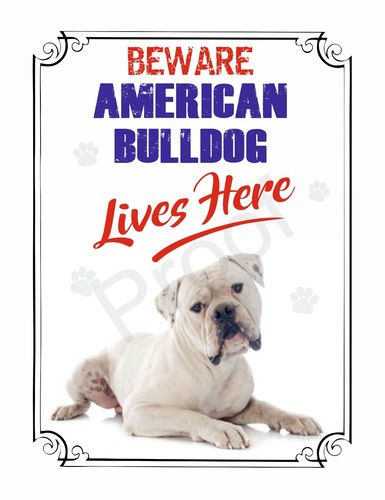 Beware american bulldog lives - american,