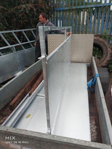 Sheep race sheet panels - sheep,