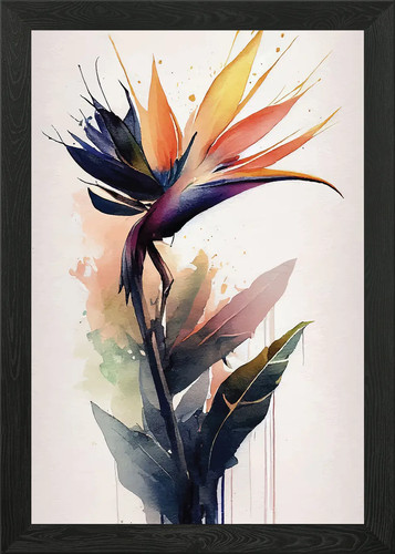 Watercolor bird paradise - watercolor,