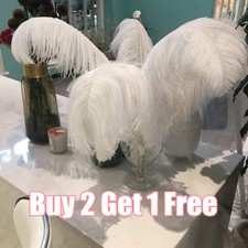 10PCS 25-30cm Large Ostrich