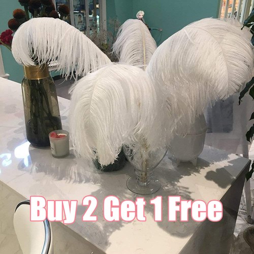 10pcs 30cm large ostrich - 10pcs,