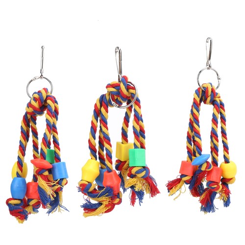 Pet bird colorful - bird,