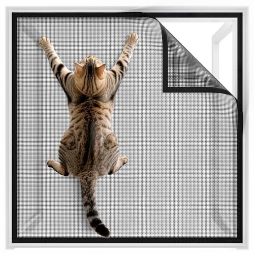 Durable scratch resistant cat - resistant,
