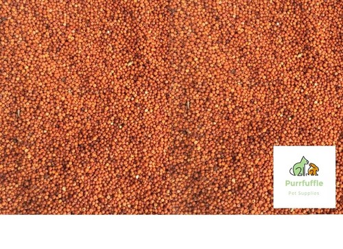 20kg red millet bird - 20kg, food