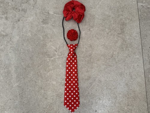 Equestrian show tie - tie, •