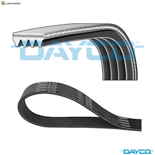 Ribbed belt 4pk1260 for - belt,