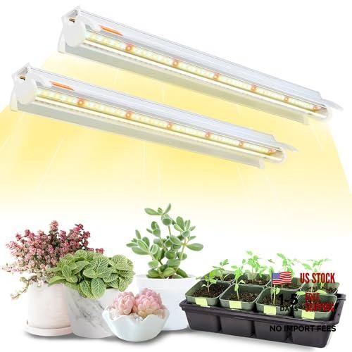 Grow lights for seed - t5,
