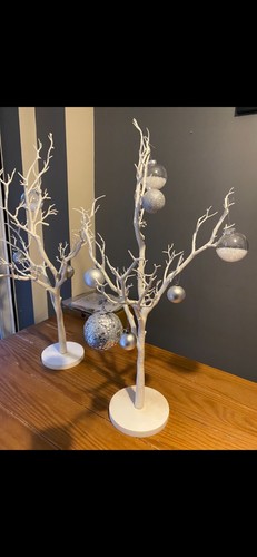 White manzanita trees - manzanita,