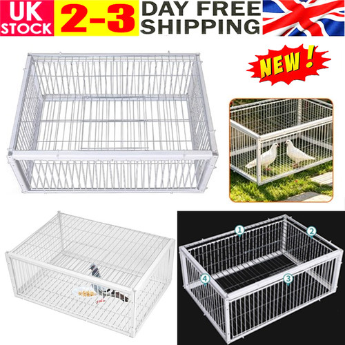 Pigeon trap cage door - trap,